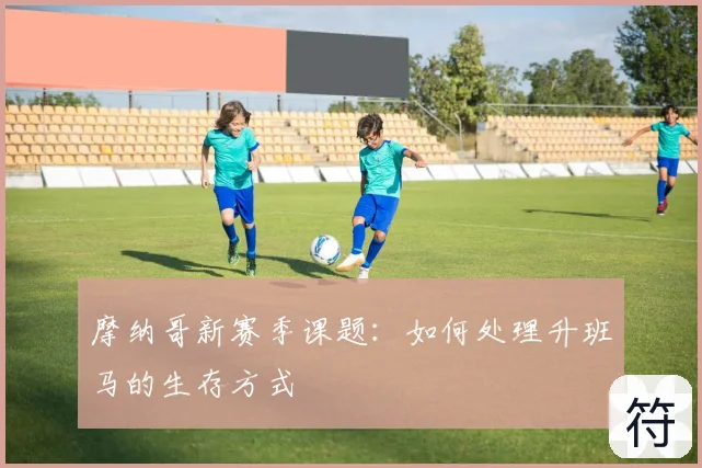 摩纳哥新赛季课题:如何处理升班马的生存方式